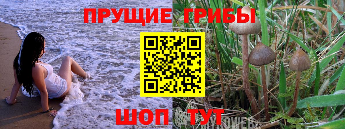 Псилоцибиновые грибы Magic Shrooms Электросталь
