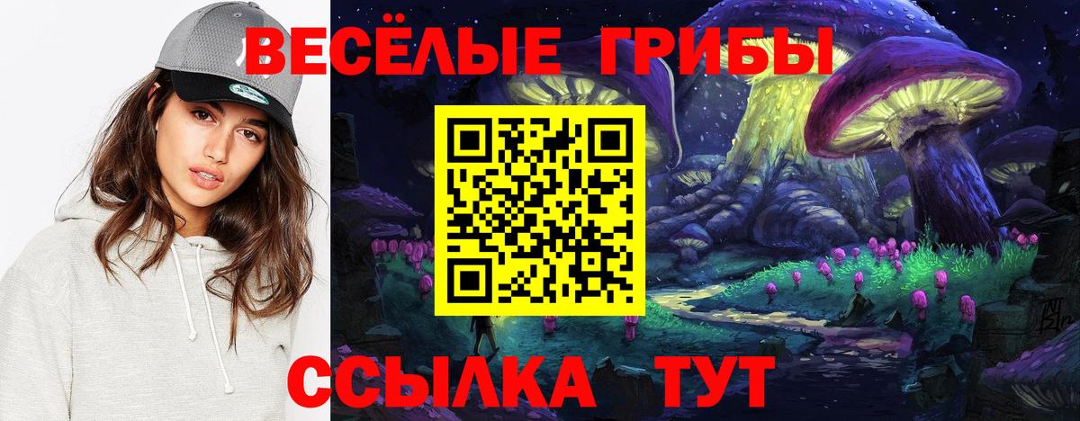 Псилоцибиновые грибы Magic Shrooms  Вход с VPN  Электросталь 